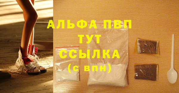 стафф Вязьма
