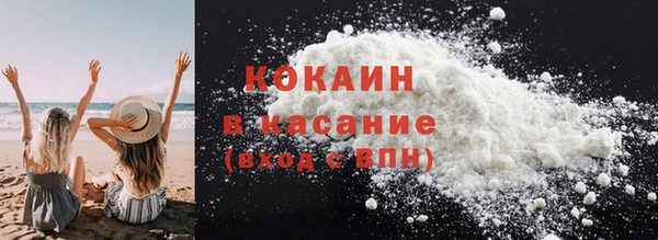 стафф Вязьма