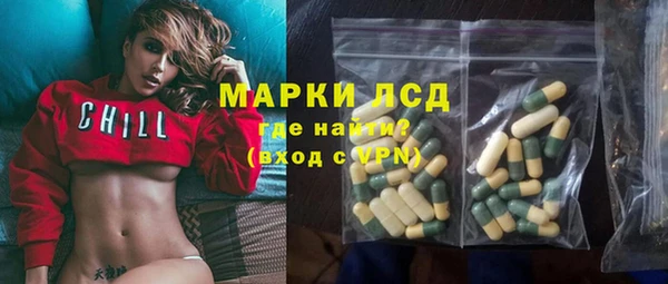 стафф Вязьма