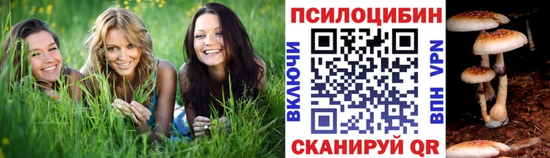 Псилоцибиновые грибы Magic Shrooms  наркота  ОМГ ОМГ ссылки  Вуктыл 